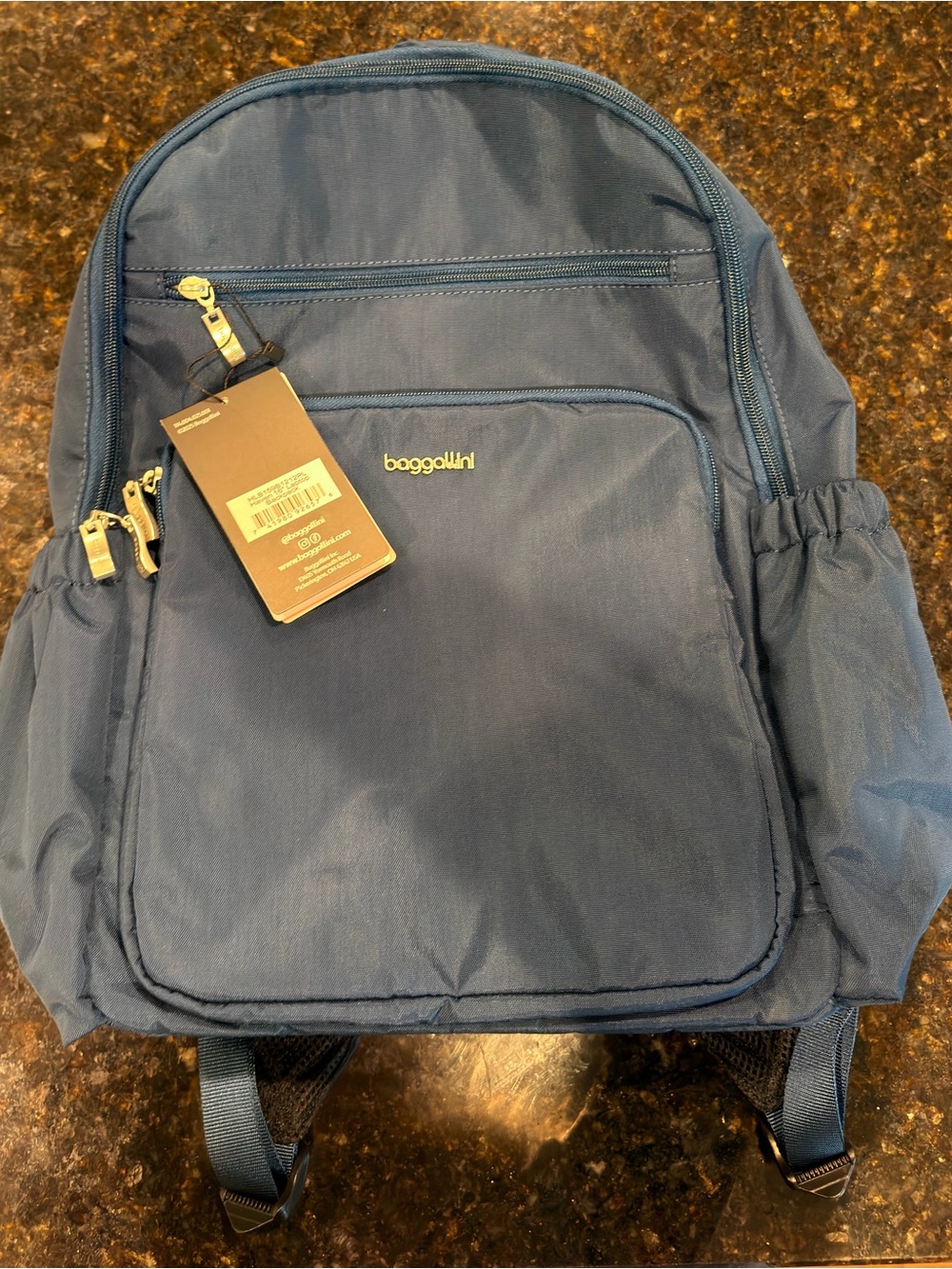 Baggallini Navy Blue Everyday Backpack for Men